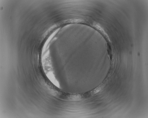 X0000066970110200604211916