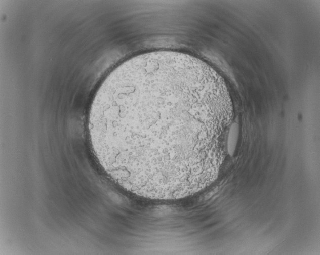 X0000066970111200604211916