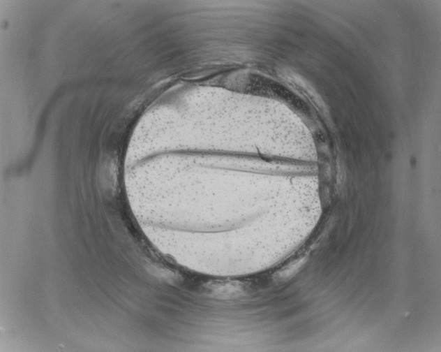 X0000066970113200604211916