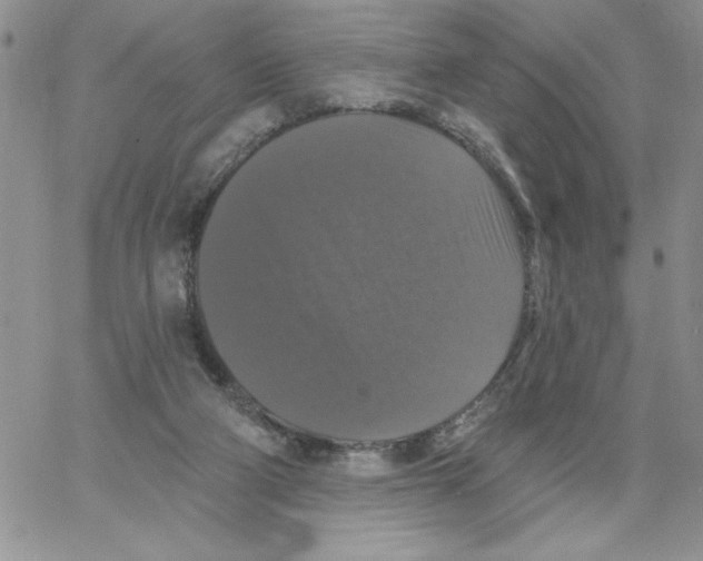 X0000066970114200604211916