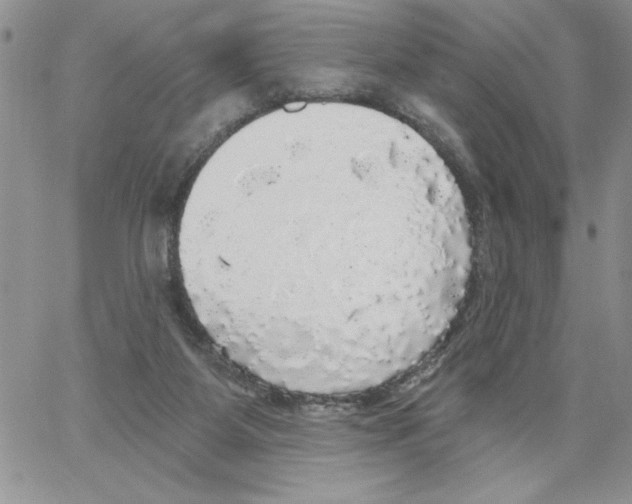 X0000066970115200604211916