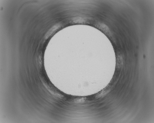 X0000066970116200604211916