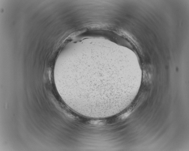 X0000066970117200604211916