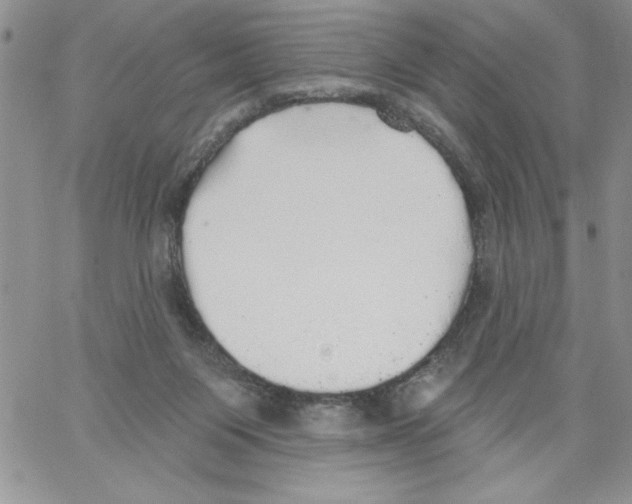 X0000066970119200604211916