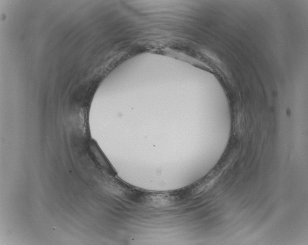 X0000066970121200604211916