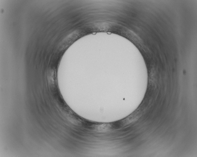 X0000066970122200604211916