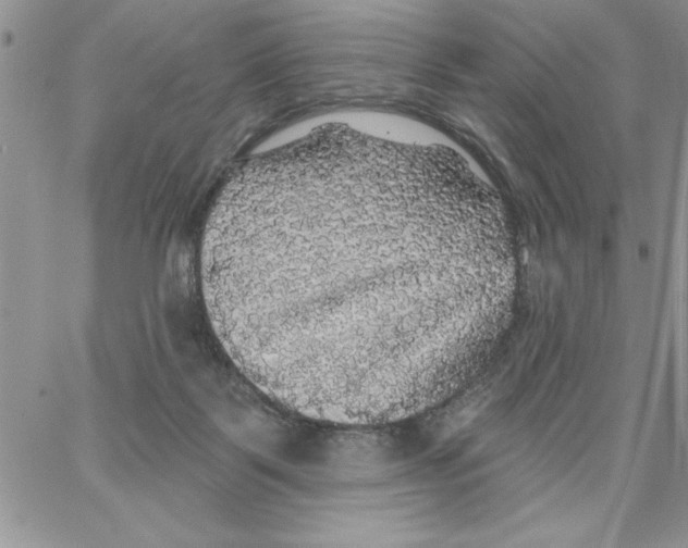 X0000066970123200604211916