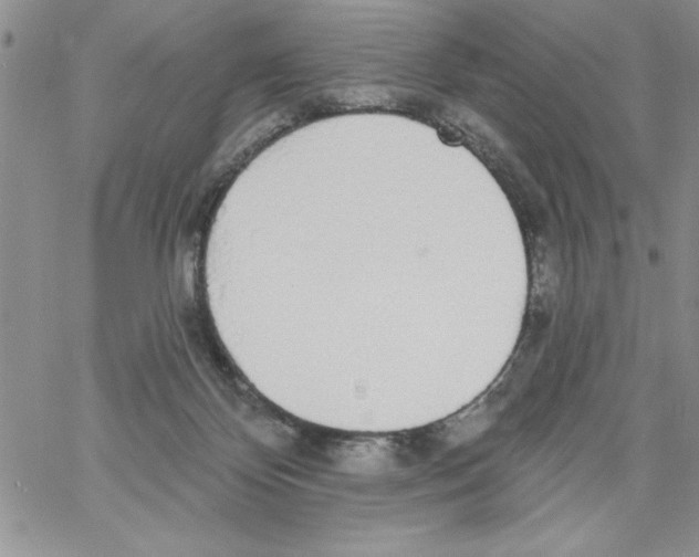 X0000066970124200604211916