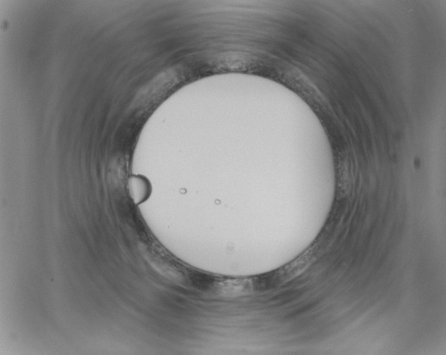 X0000066970126200604211916