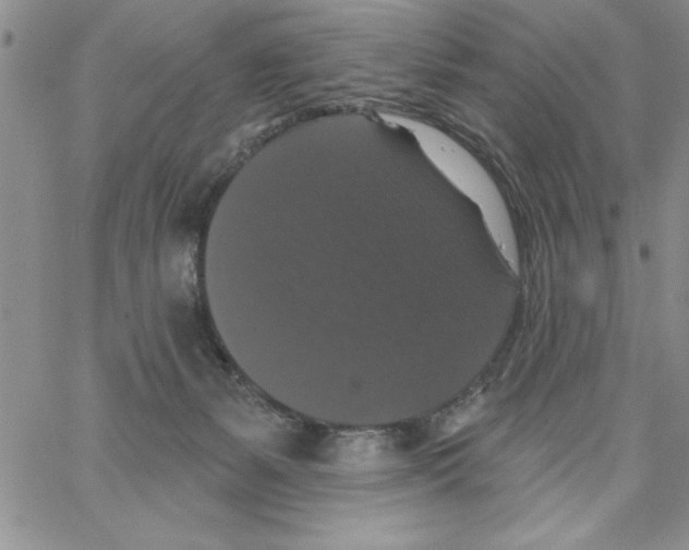 X0000066970127200604211916