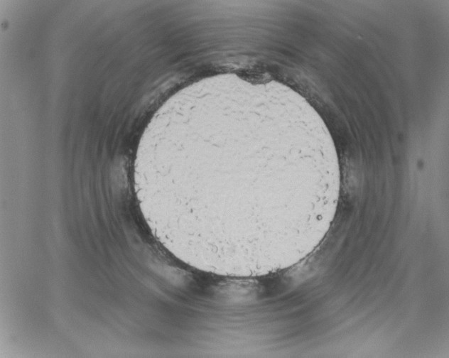 X0000066970128200604211916