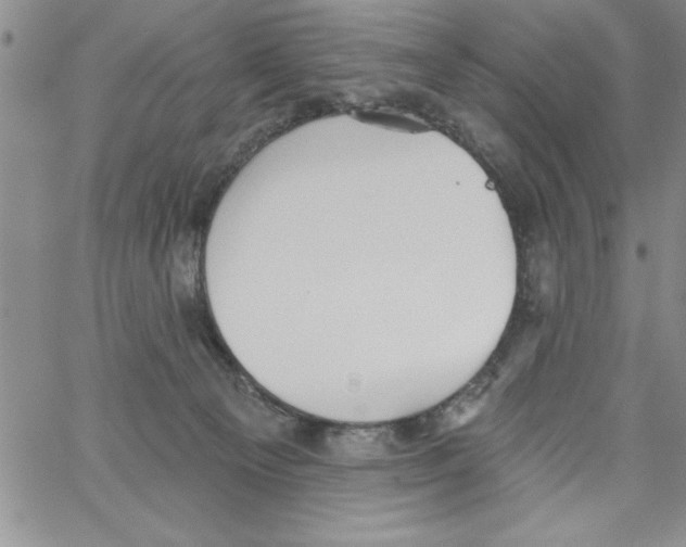 X0000066970129200604211916