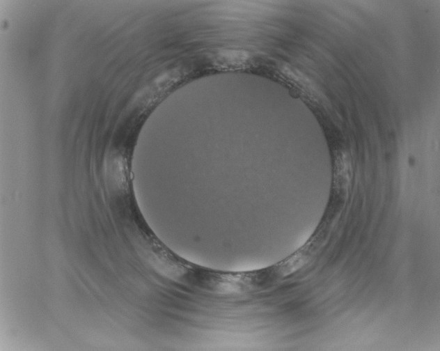 X0000066970130200604211916