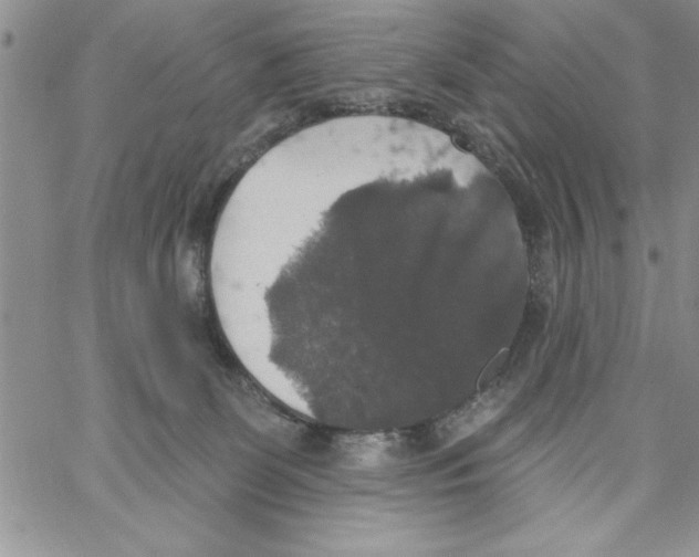 X0000066970131200604211916