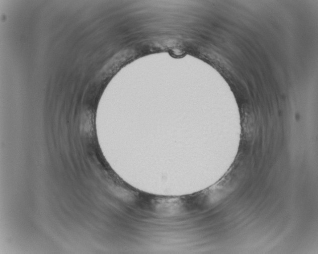 X0000066970132200604211916