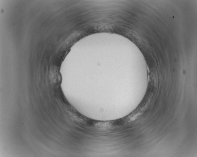 X0000066970133200604211916