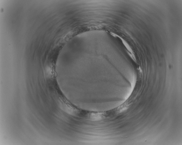 X0000066970134200604211916