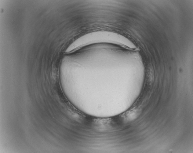 X0000066970135200604211916