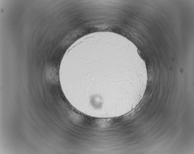 X0000066970136200604211916