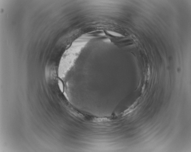 X0000066970137200604211916