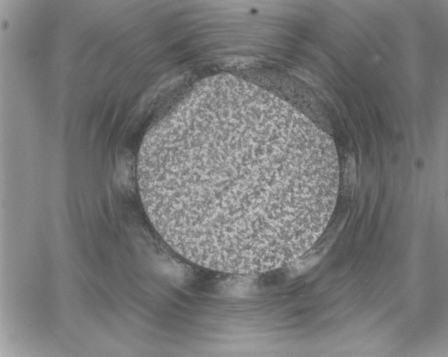 X0000066970138200604211916