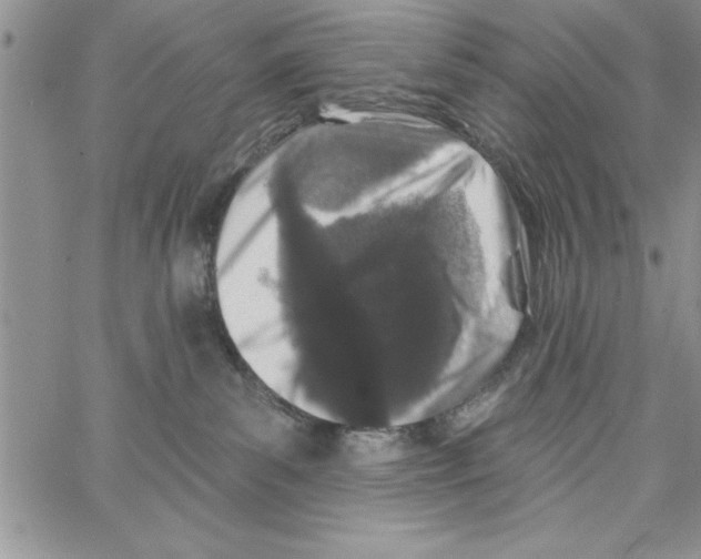 X0000066970139200604211916