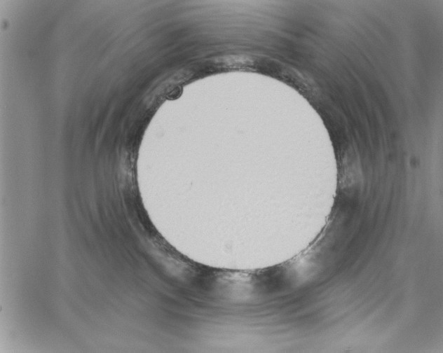 X0000066970140200604211916