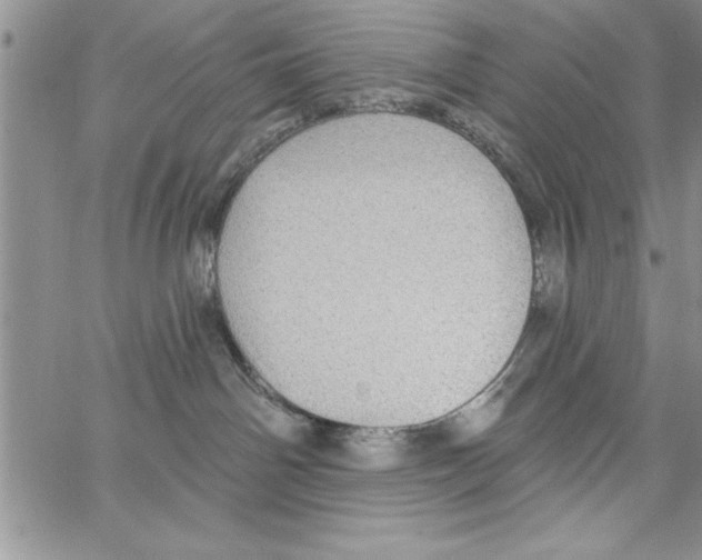 X0000066970142200604211916