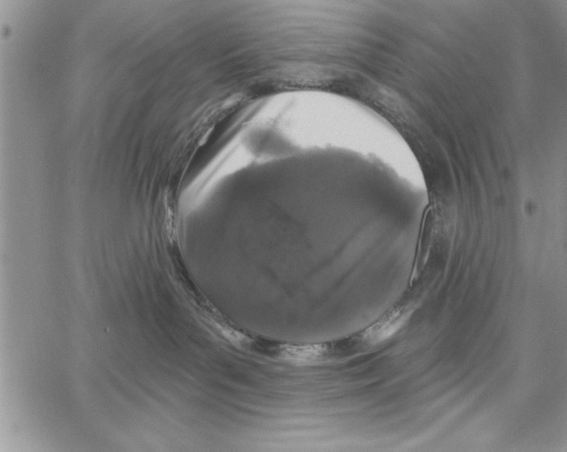 X0000066970143200604211916