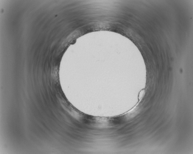 X0000066970144200604211916