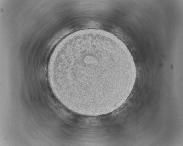 X0000066970146200604211915