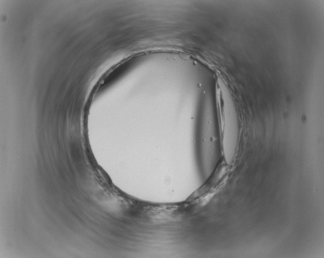 X0000066970148200604211915