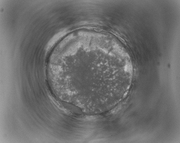 X0000066970149200604211915