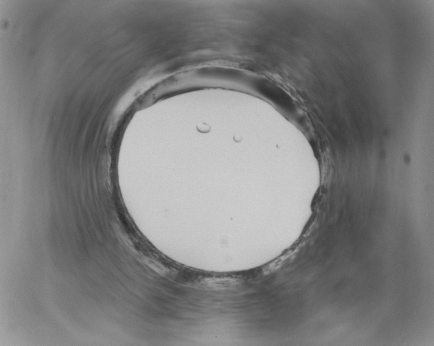 X0000066970150200604211915