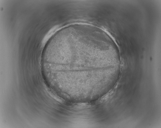 X0000066970151200604211915