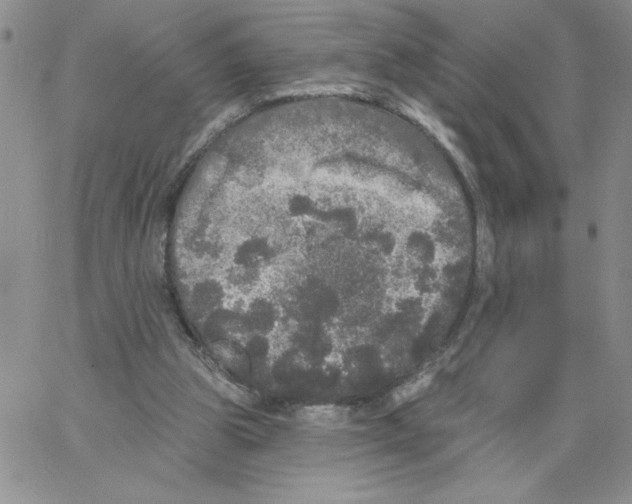 X0000066970153200604211915