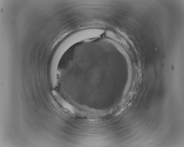 X0000066970154200604211915