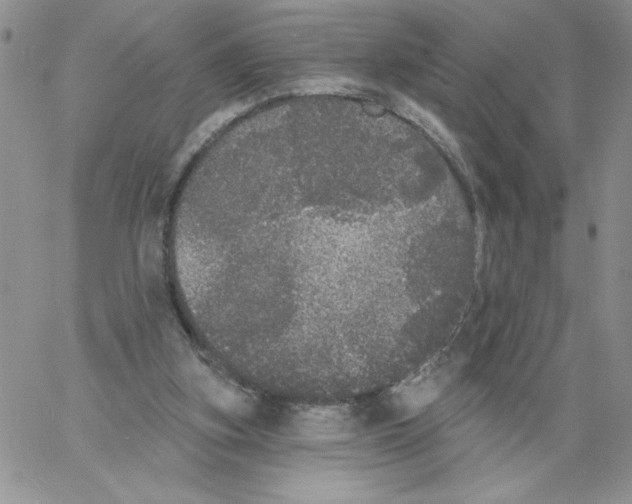 X0000066970155200604211915