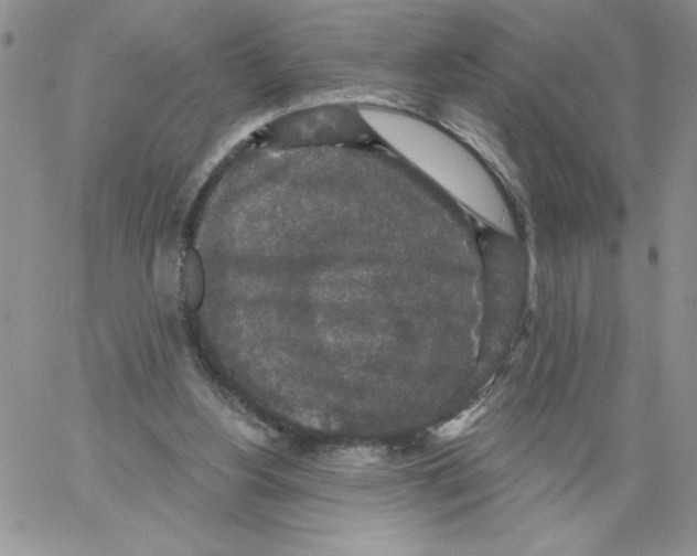 X0000066970156200604211915