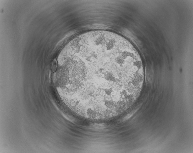 X0000066970157200604211915