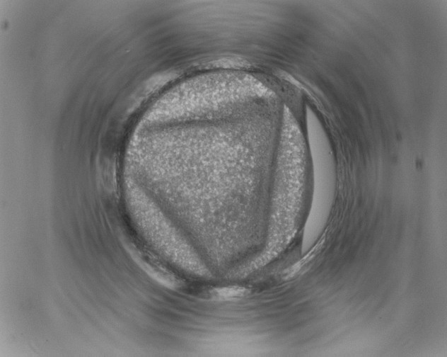 X0000066970158200604211915