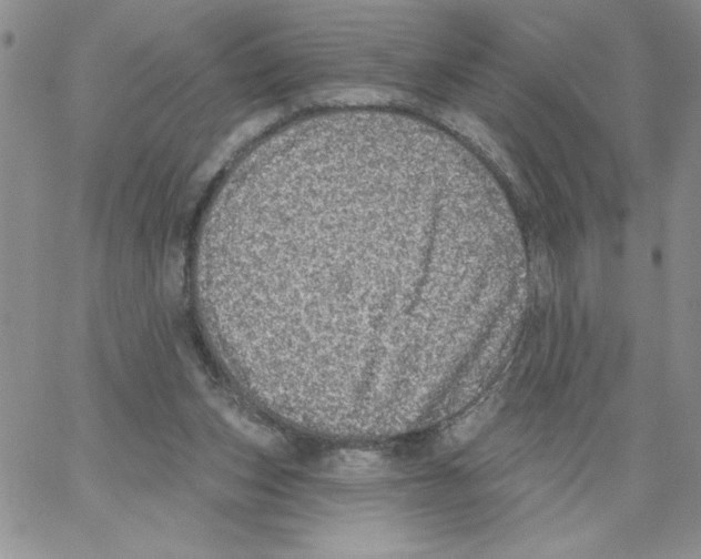 X0000066970159200604211915