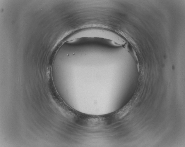 X0000066970160200604211915