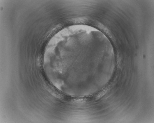 X0000066970161200604211915