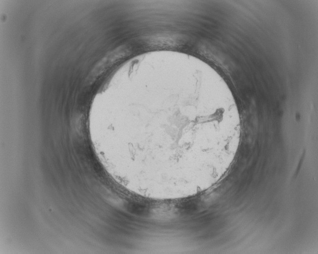 X0000066970162200604211915