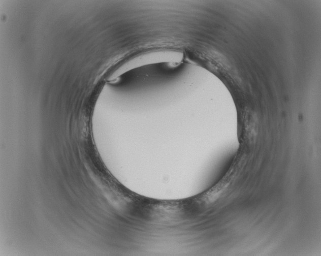 X0000066970164200604211915