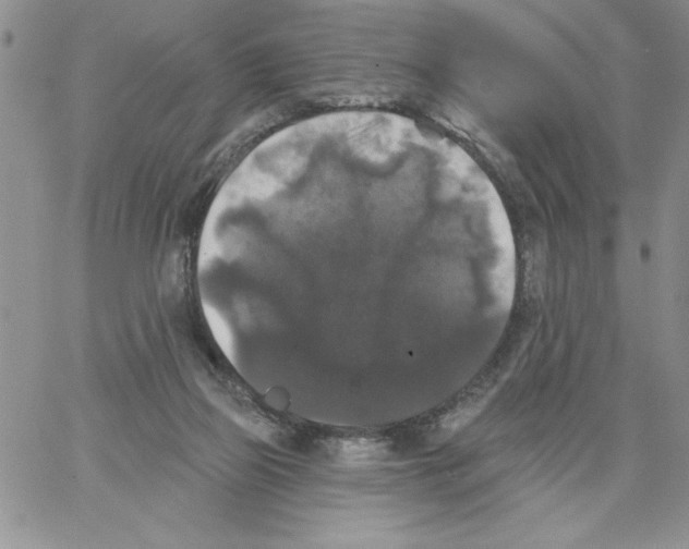 X0000066970165200604211915