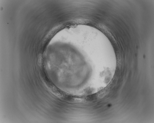 X0000066970167200604211915