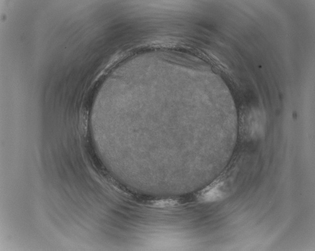 X0000066970168200604211915