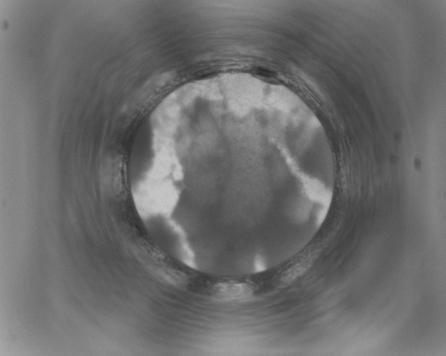 X0000066970169200604211915